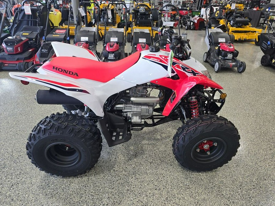 2024 Honda® TRX250X