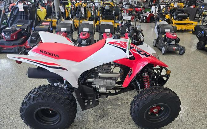 2024 Honda® TRX250X