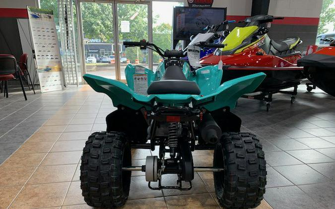 2025 Yamaha Raptor 110 - Teal