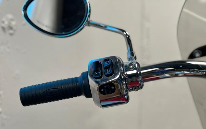 2020 Indian Motorcycle Chief® Vintage Icon Series