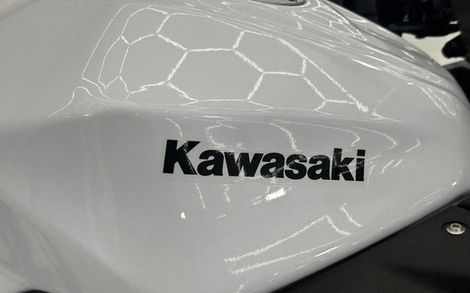 2026 Kawasaki Ninja 300 ABS