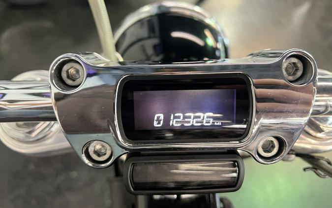 2021 Harley-Davidson Softail Standard Vivid Black FXST