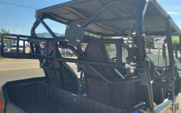 2020 Kawasaki Teryx4 LE