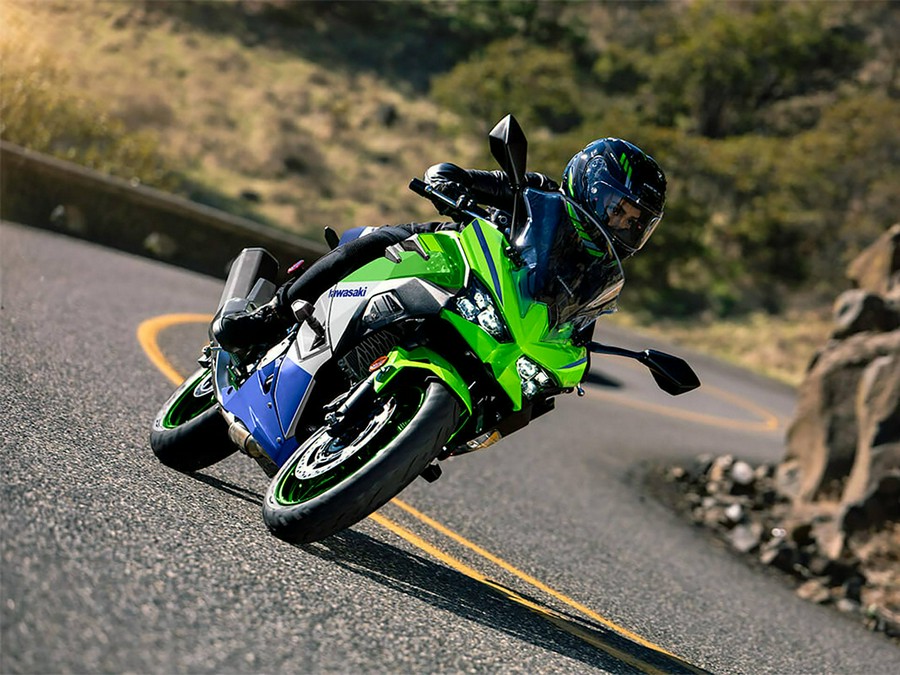 2024 Kawasaki Ninja® 500 SE 40th Anniversary Edition ABS