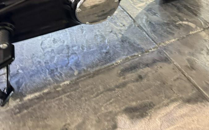 2025 Harley-Davidson Heritage Classic