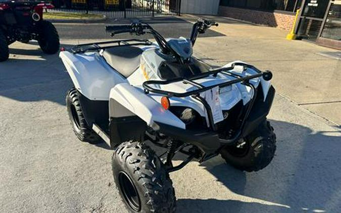 2024 Yamaha Grizzly 90