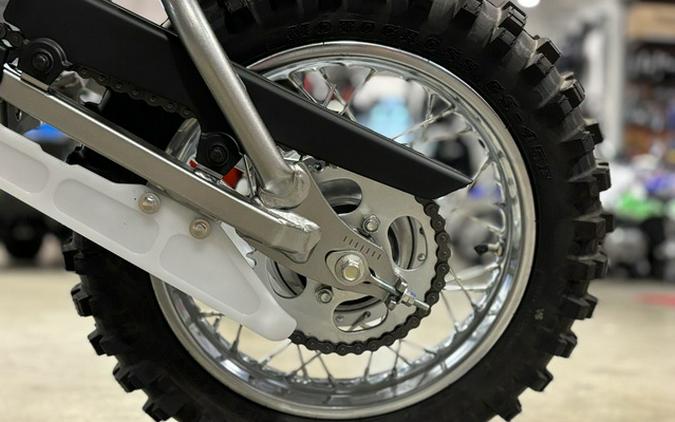 2025 Kawasaki KLX110R L