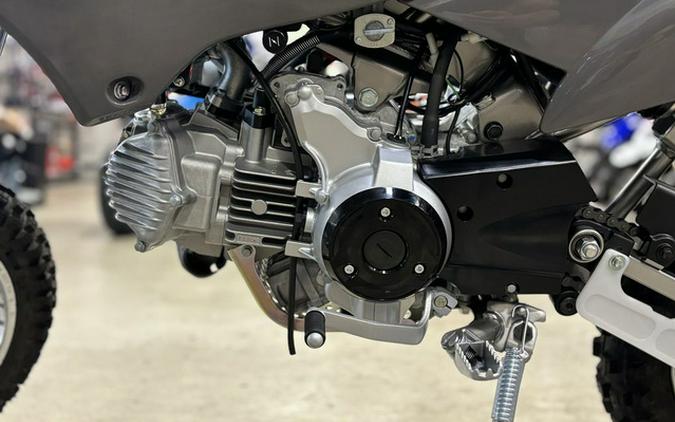 2025 Kawasaki KLX110R L