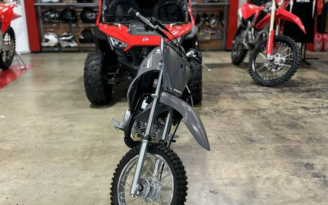 2025 Kawasaki KLX110R L