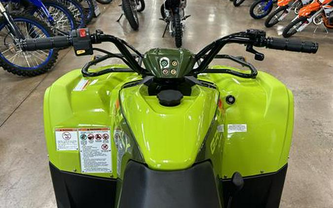 2026 Yamaha Grizzly 110