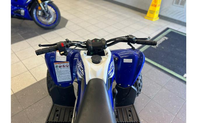 2019 Yamaha Raptor 90