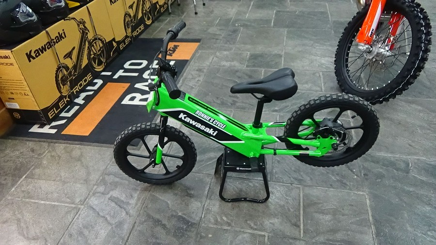 2023 Kawasaki Elektrode