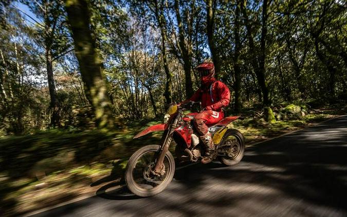 2025 GASGAS EC 300 GP