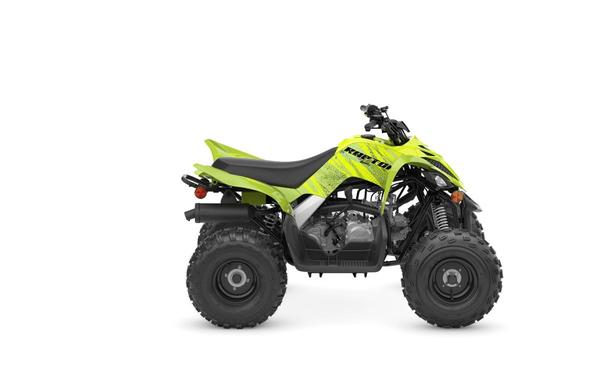 2026 Yamaha Raptor 110