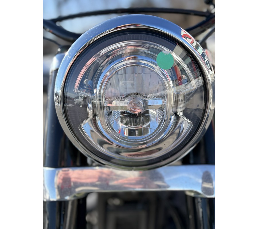 2019 Harley-Davidson Softail Slim®