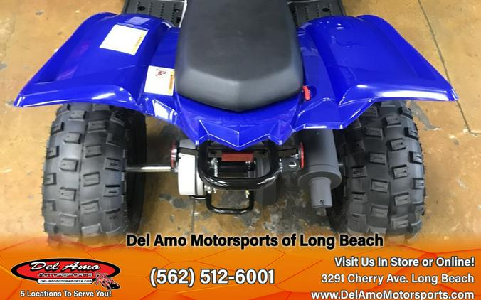 2024 Yamaha RAPTOR 110