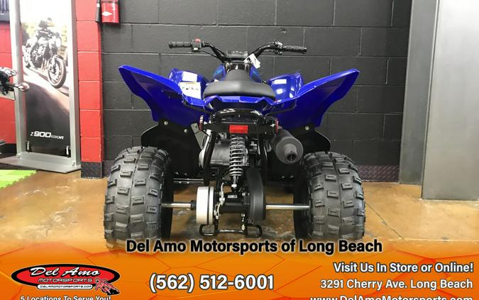 2024 Yamaha RAPTOR 110