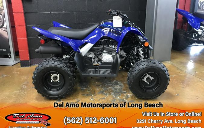 2024 Yamaha RAPTOR 110