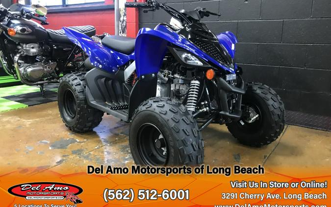 2024 Yamaha RAPTOR 110