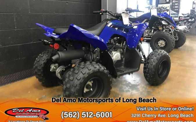 2024 Yamaha RAPTOR 110