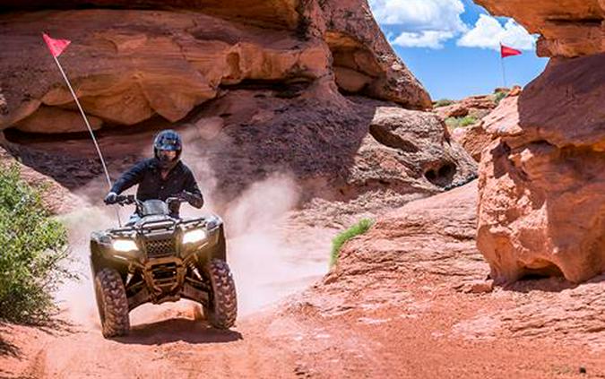 2021 Honda FourTrax Rancher ES