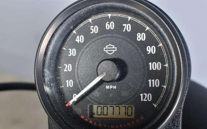 2021 Harley-Davidson Iron 883