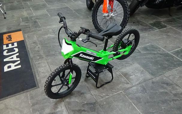 2023 Kawasaki Elektrode