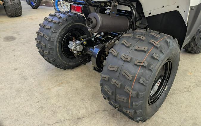 2027 Kawasaki KFX®90
