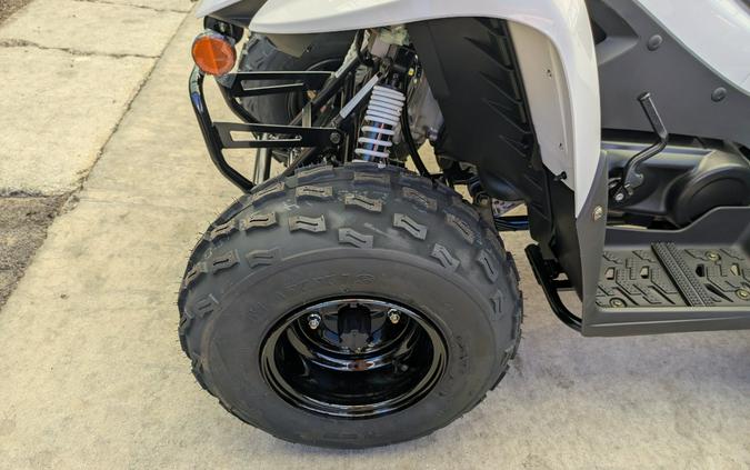 2027 Kawasaki KFX®90