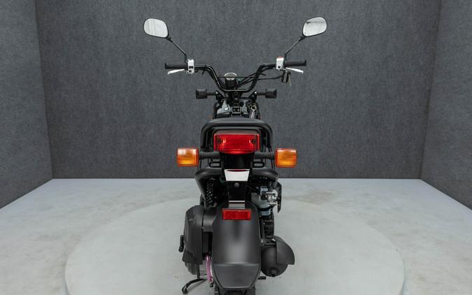 2024 HONDA NPS50 RUCKUS 50