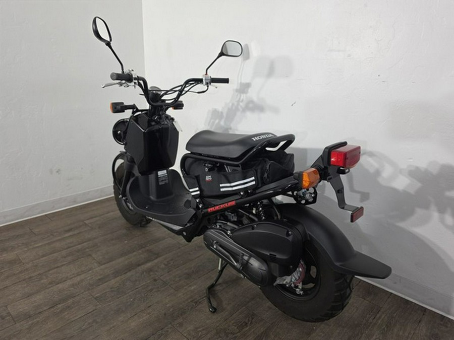 2019 Honda Ruckus