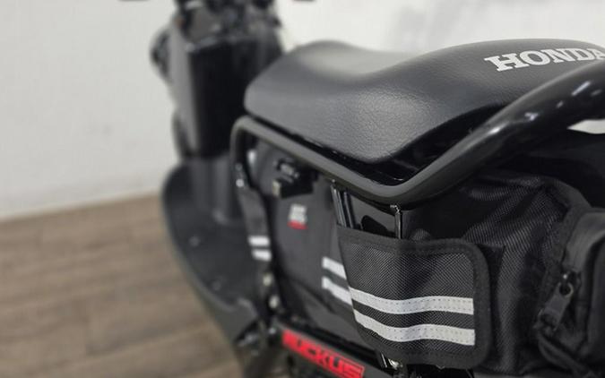 2019 Honda Ruckus