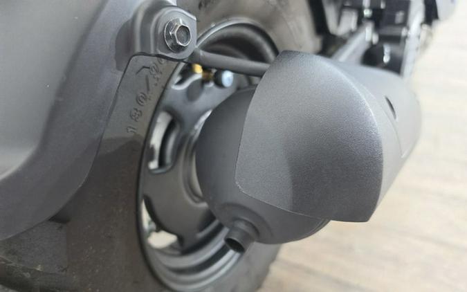 2019 Honda Ruckus