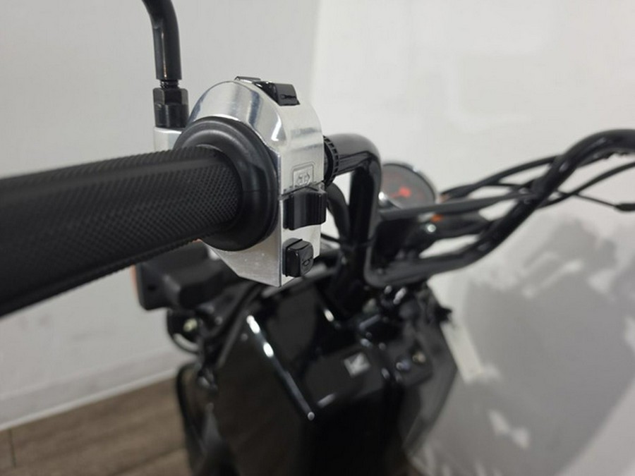 2019 Honda Ruckus