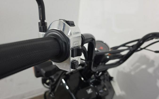 2019 Honda Ruckus