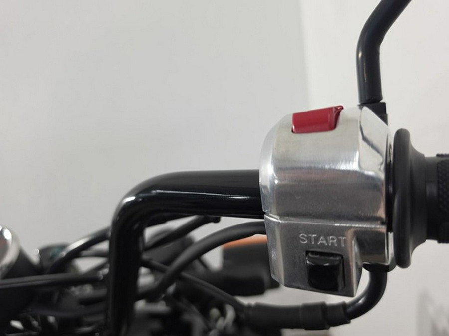 2019 Honda Ruckus