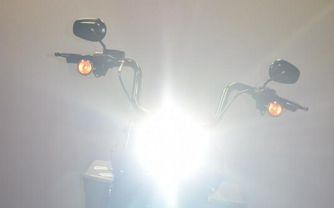 2024 Harley-Davidson Road King Special