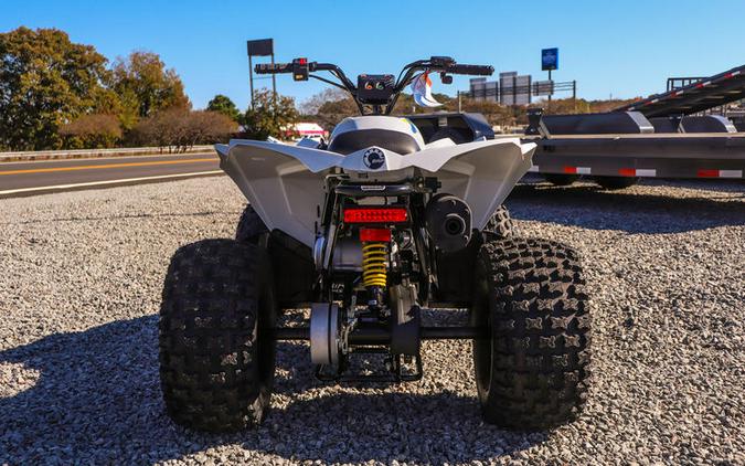 2026 Can-Am® Renegade 110 EFI