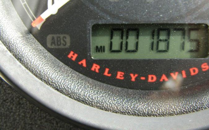 2019 Harley-Davidson® XL 883N - Sportster® Iron 883™