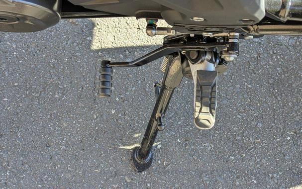 2025 BMW G 310 GS Style Rallye