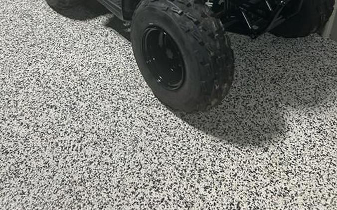 2026 Kawasaki KFX® 90