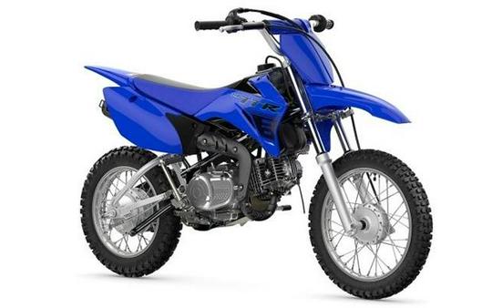 2024 Yamaha TTR 110