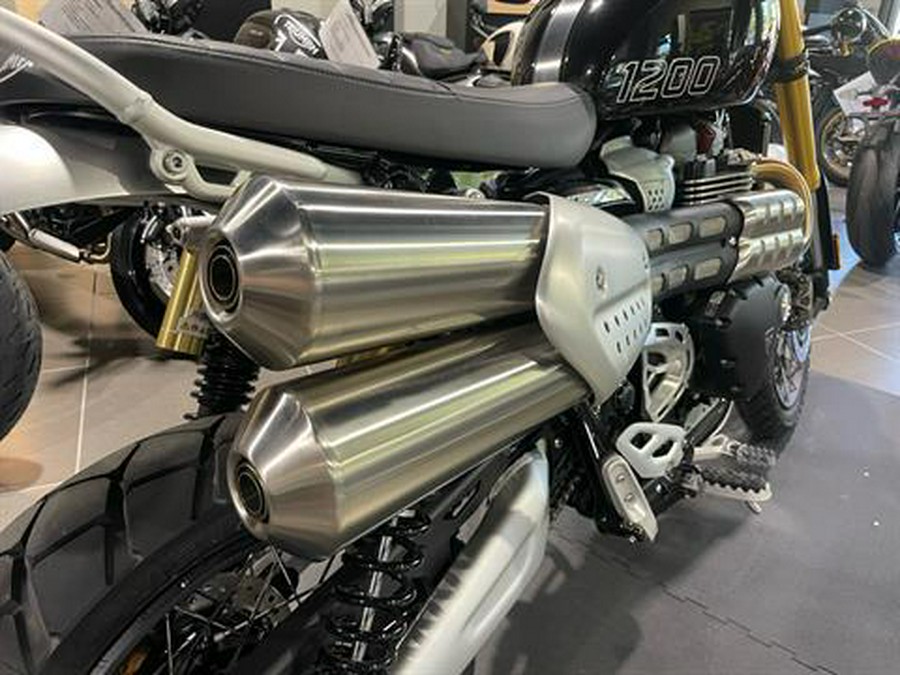 2025 Triumph Scrambler 1200 XE