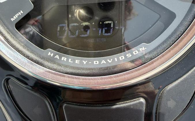 2019 Harley-Davidson Softail Slim Cruiser Motorcycle