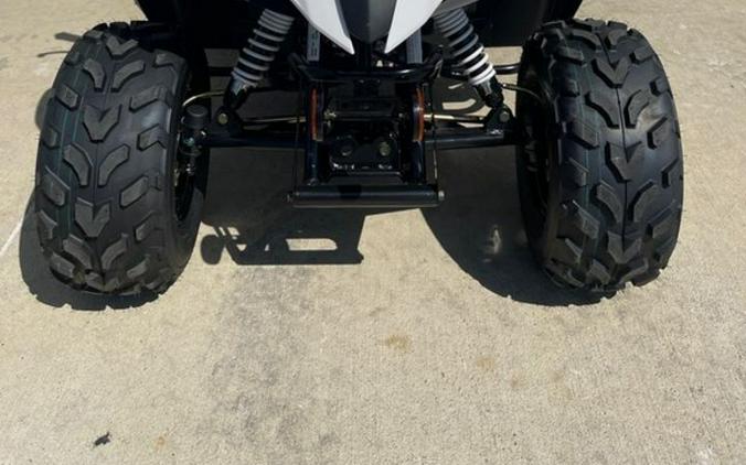 2026 Kawasaki KFX 50