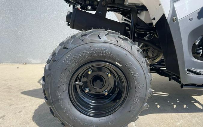 2026 Kawasaki KFX 50