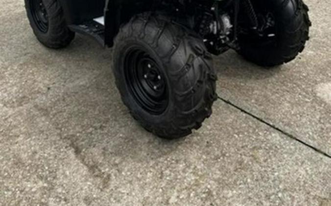 2025 Yamaha Kodiak 450