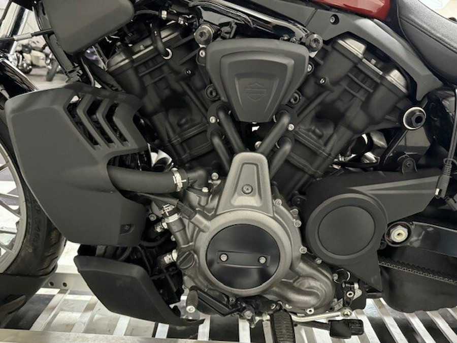 Nightster™ Special