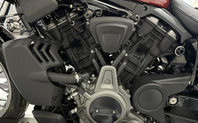 Nightster™ Special