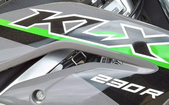 2024 Kawasaki KLX 230R